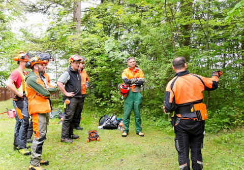 Skogen Kallar – Motorsågens Viskningar och Säkerhetens Rop
